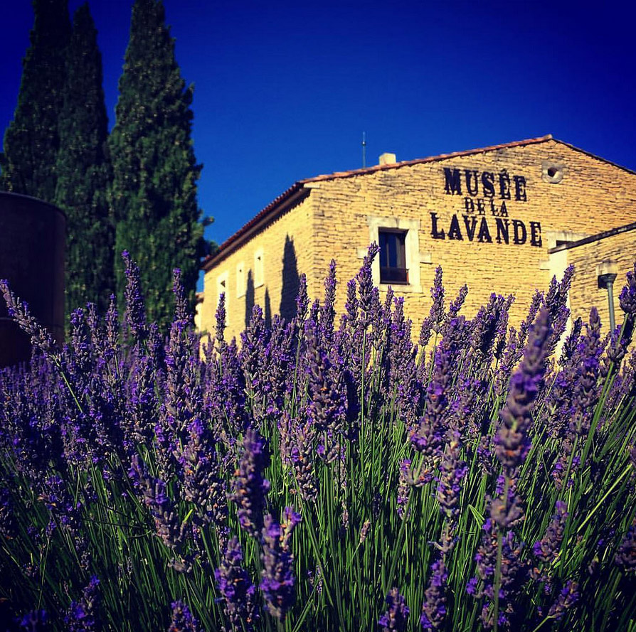 The lavender museum