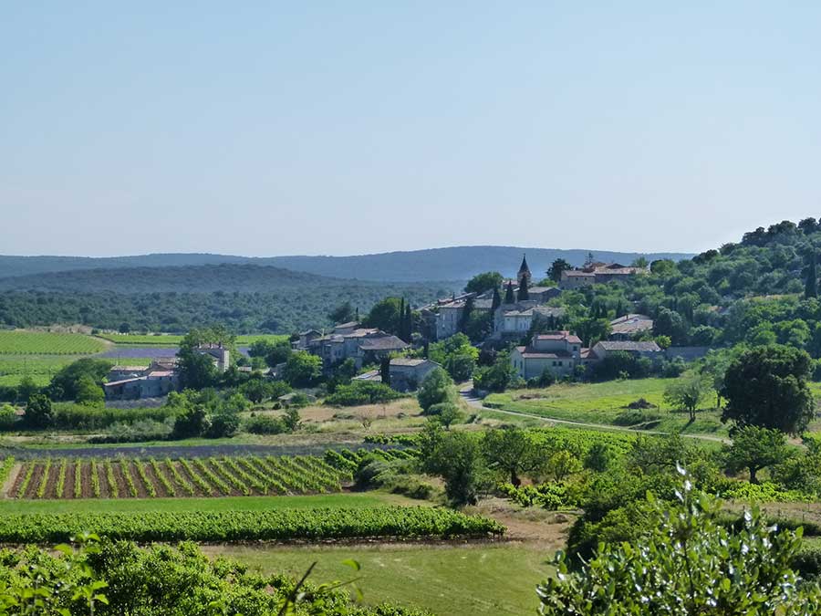 Discover the Côtes du Rhône wine trail
